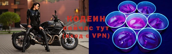 не бодяженный Бородино