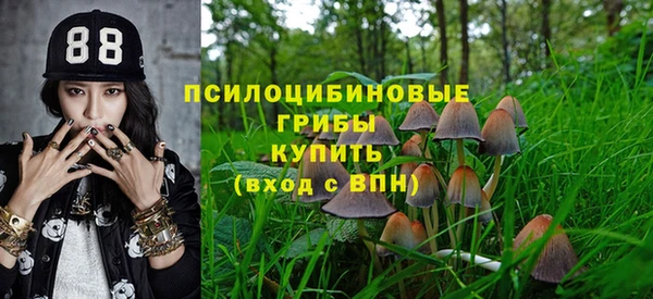 хмурый Бугульма