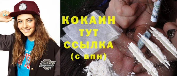 не бодяженный Бородино